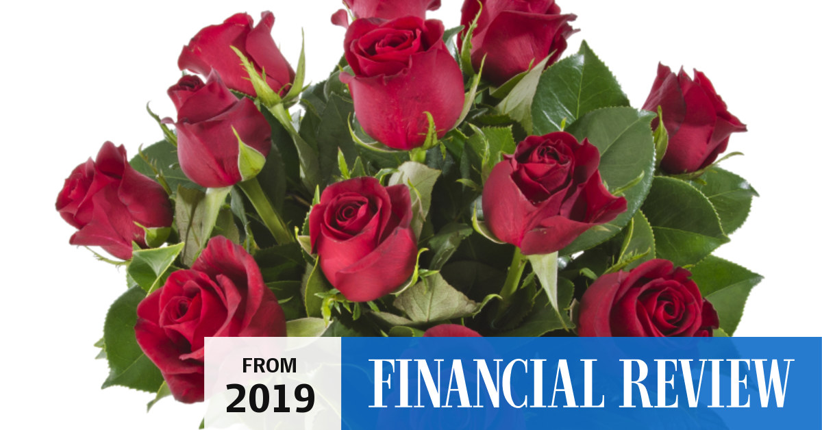 Next taps Stanton Road to help Lynch Group sale bloom